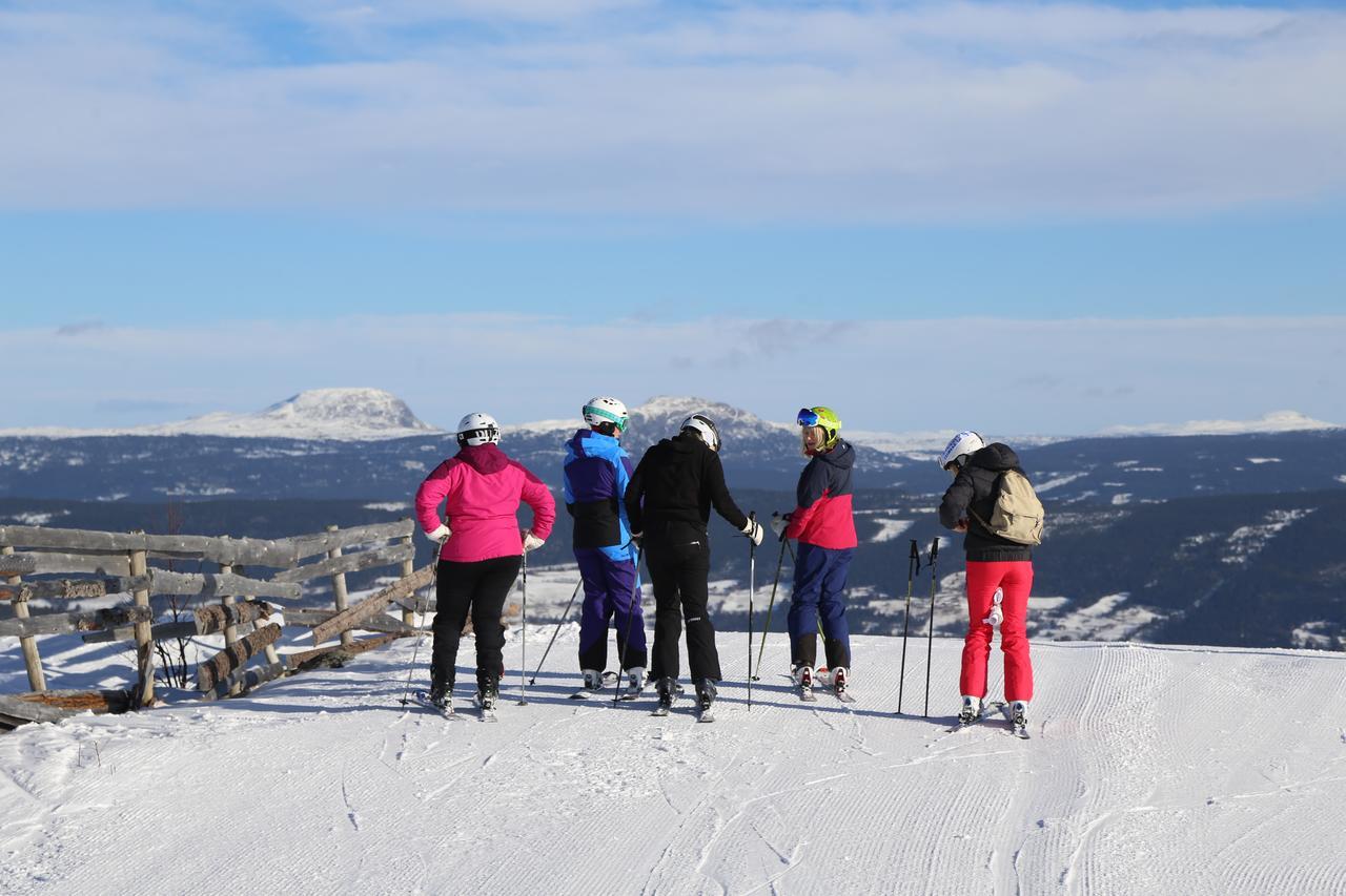 Gomobu Fjellstue Ron Exterior foto