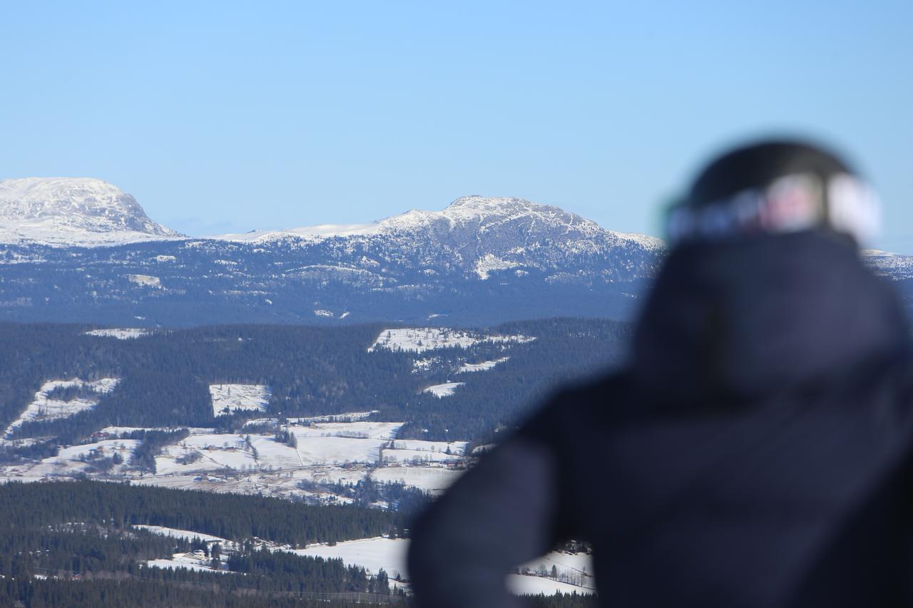 Gomobu Fjellstue Ron Exterior foto