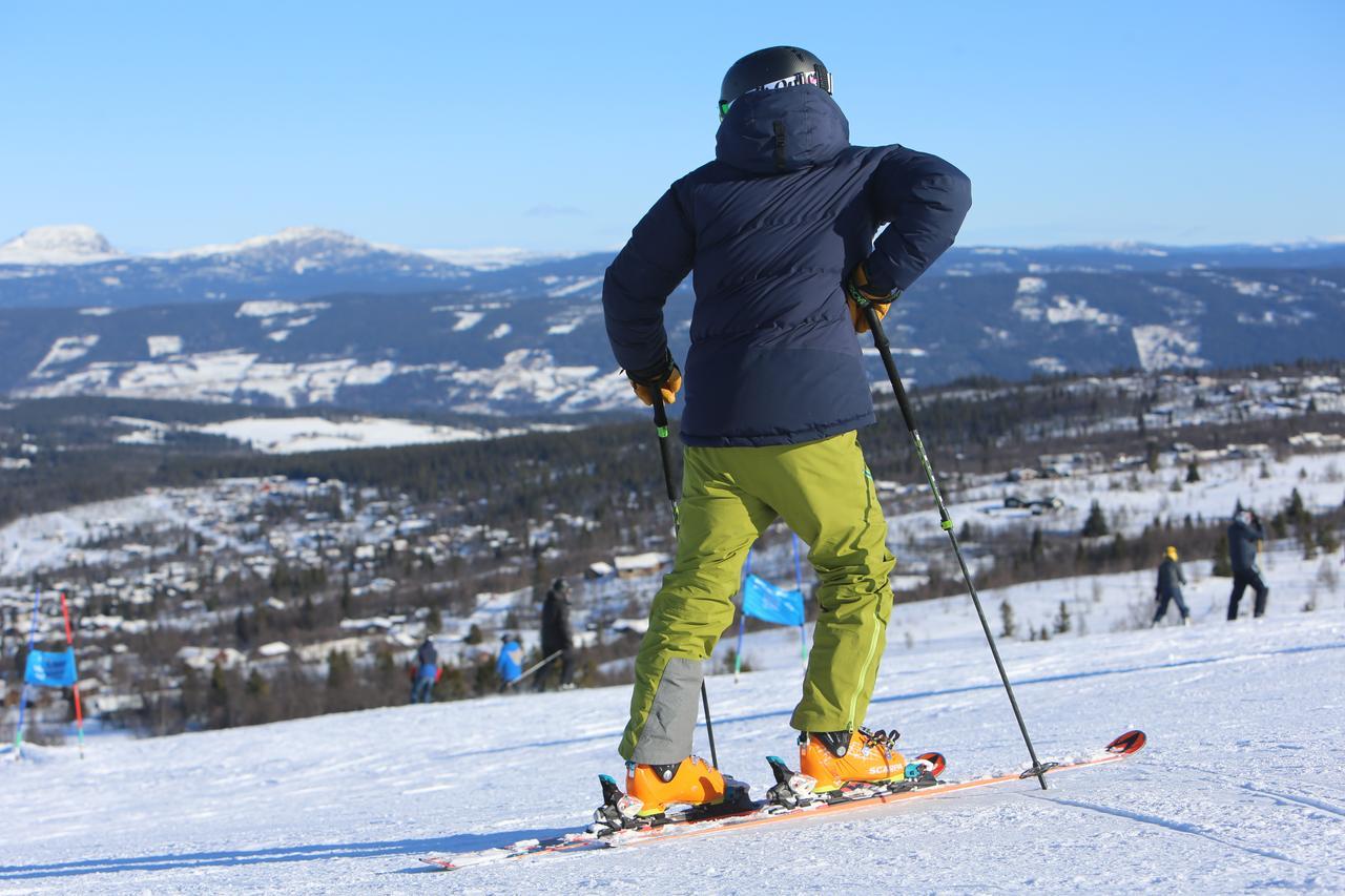 Gomobu Fjellstue Ron Exterior foto