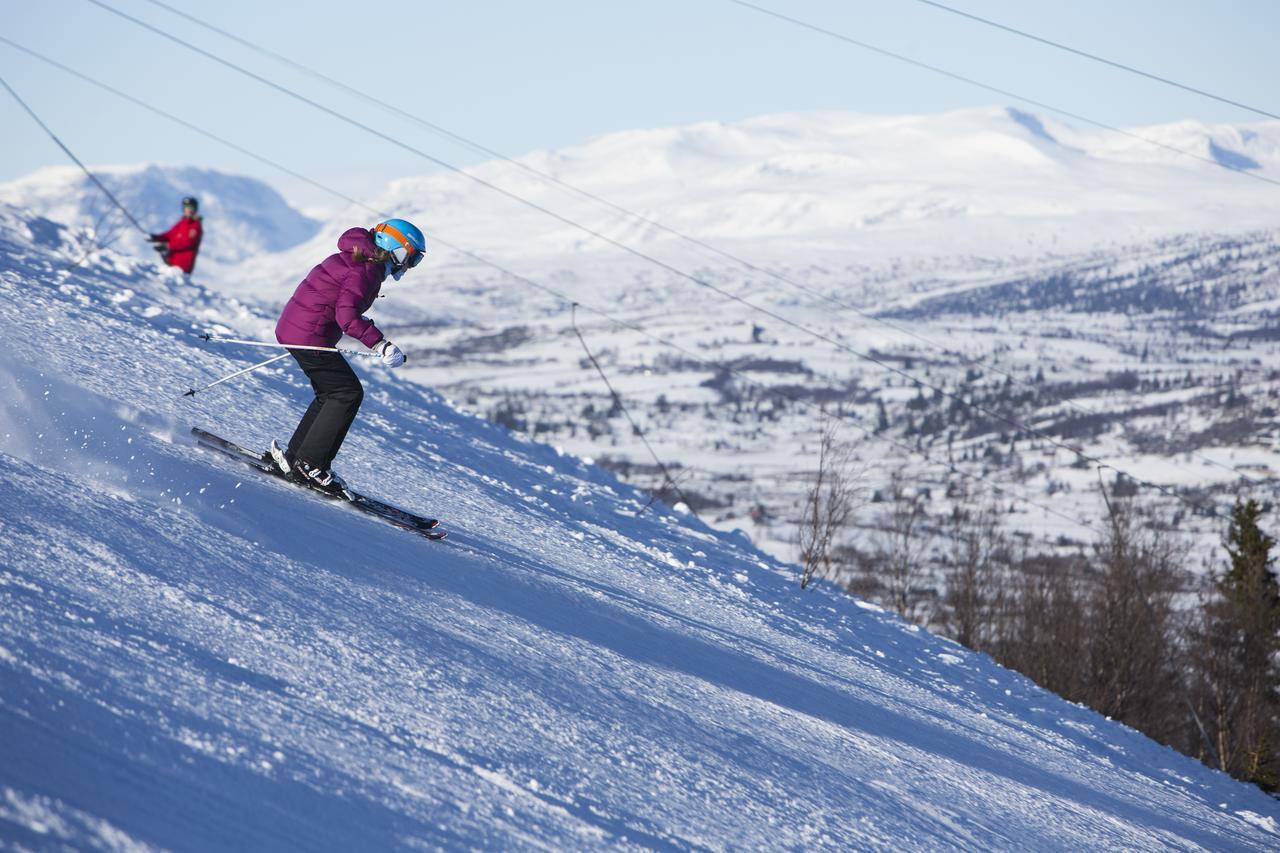 Gomobu Fjellstue Ron Exterior foto