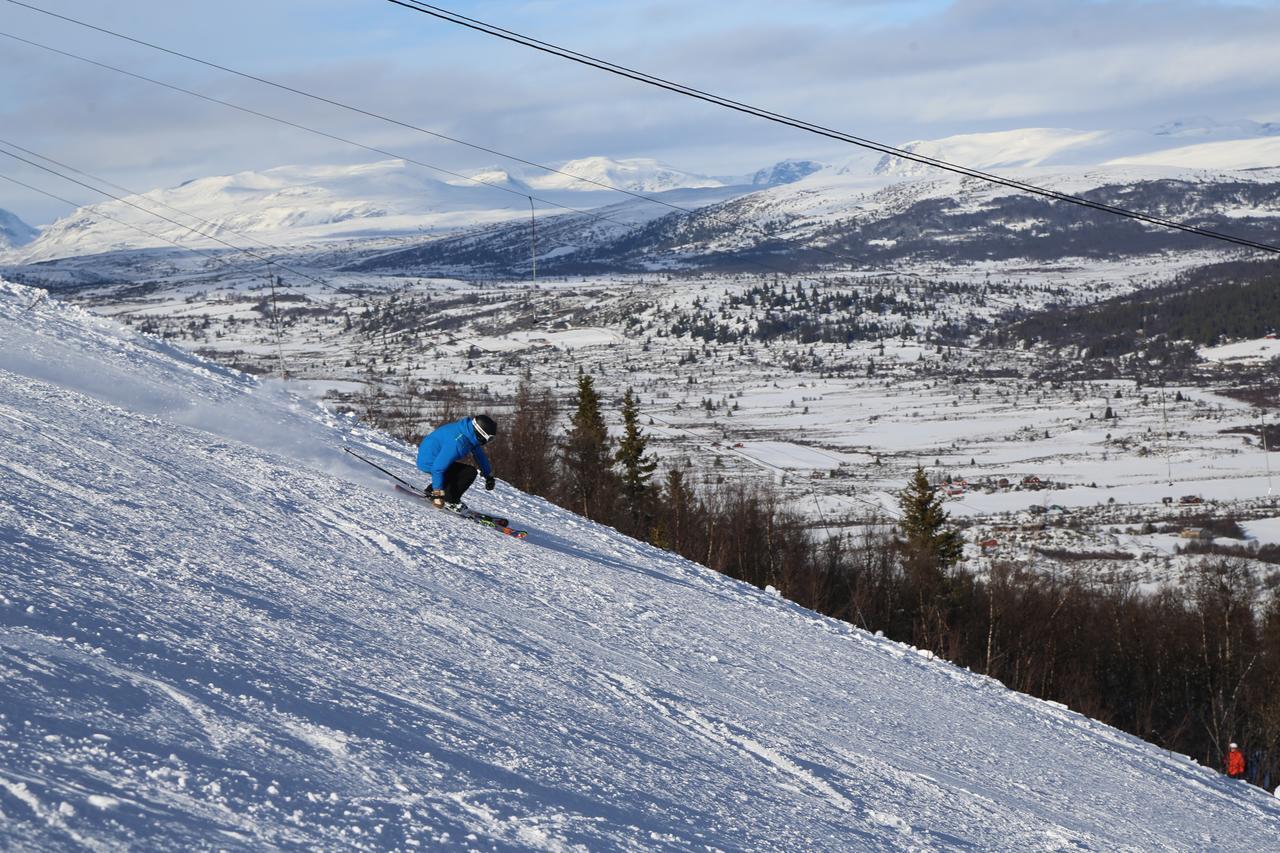 Gomobu Fjellstue Ron Exterior foto